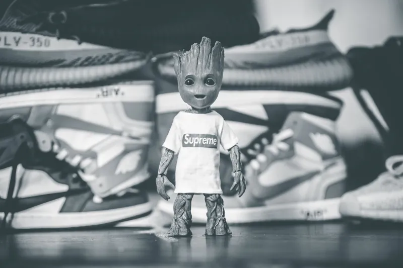 Hold, Flip, or Fold: The Raw Psychology Behind Every Yeezy Resale Decision